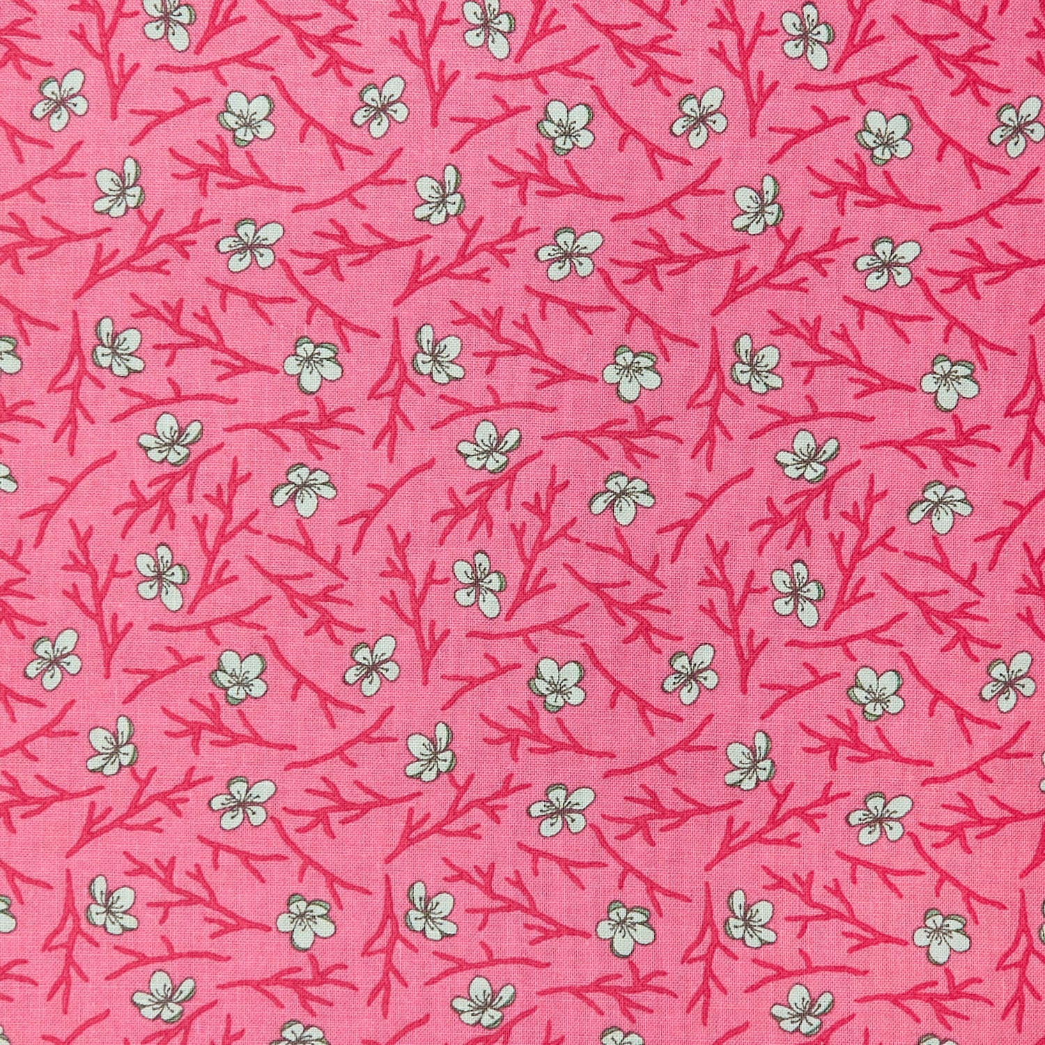 2025 LTD - Blossom Rose 2 Yard Cut - Image 2