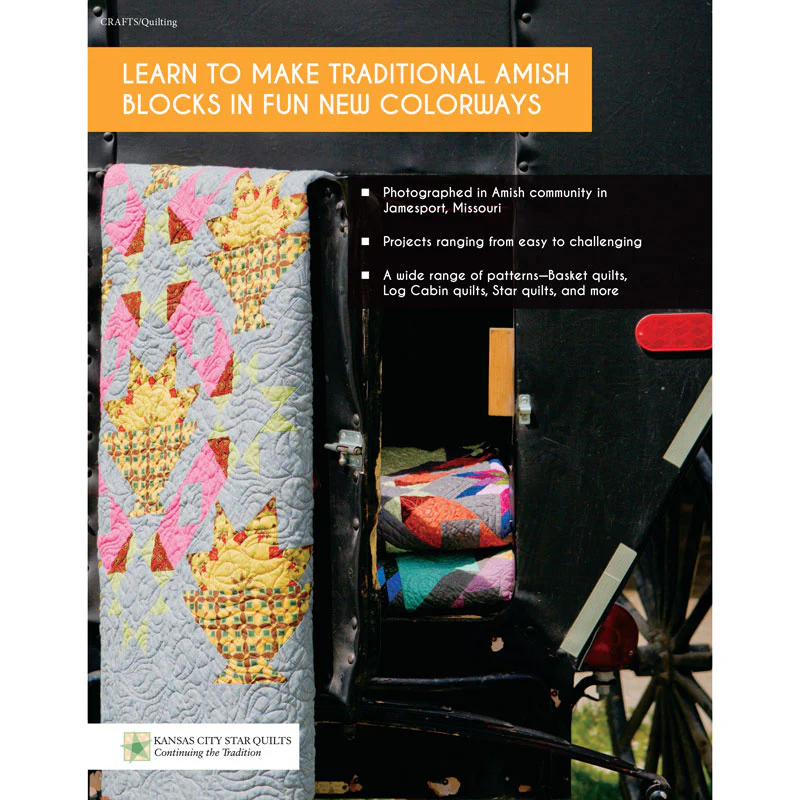 Amish-Inspired Quilts for Today's Home Book - Image 2