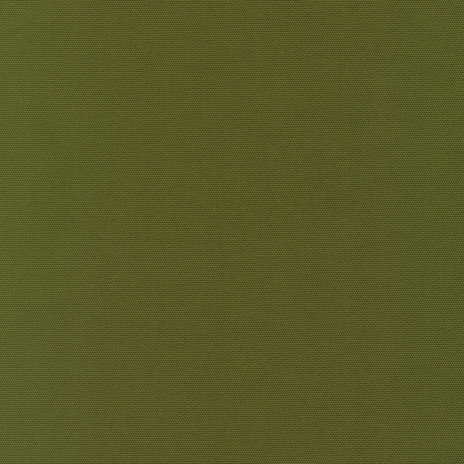 Big Sur Canvas - Moss Green Yardage