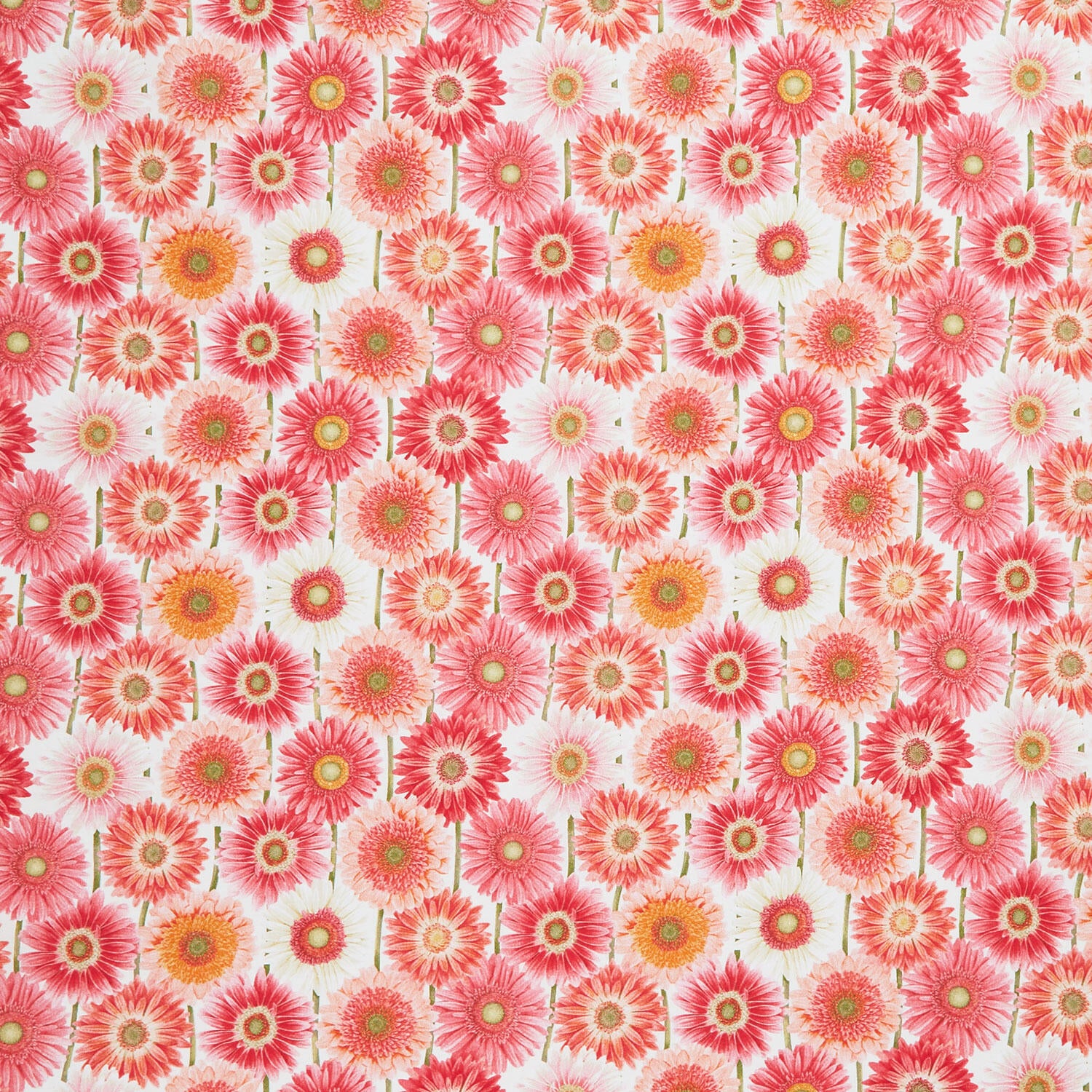 Bloomscape - Large Floral Pink Multi Yardage