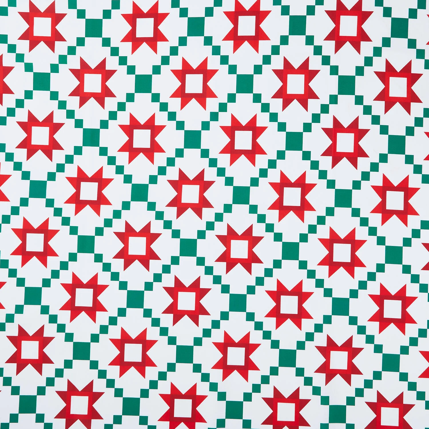 Christmas In Quilt Town - Quilt Poinsettia 110" Wide Backing