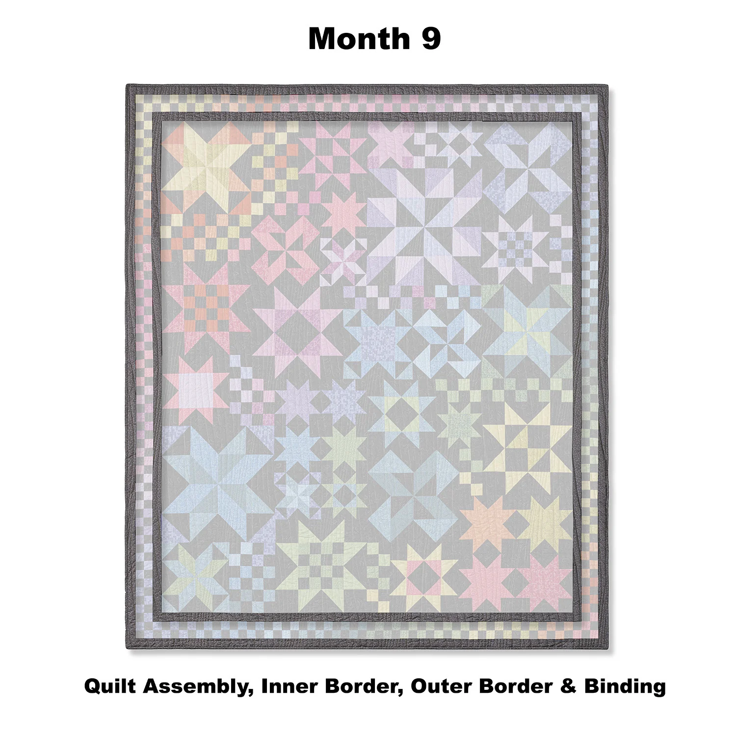 Country Skies at Night Block of the Month - Image 11