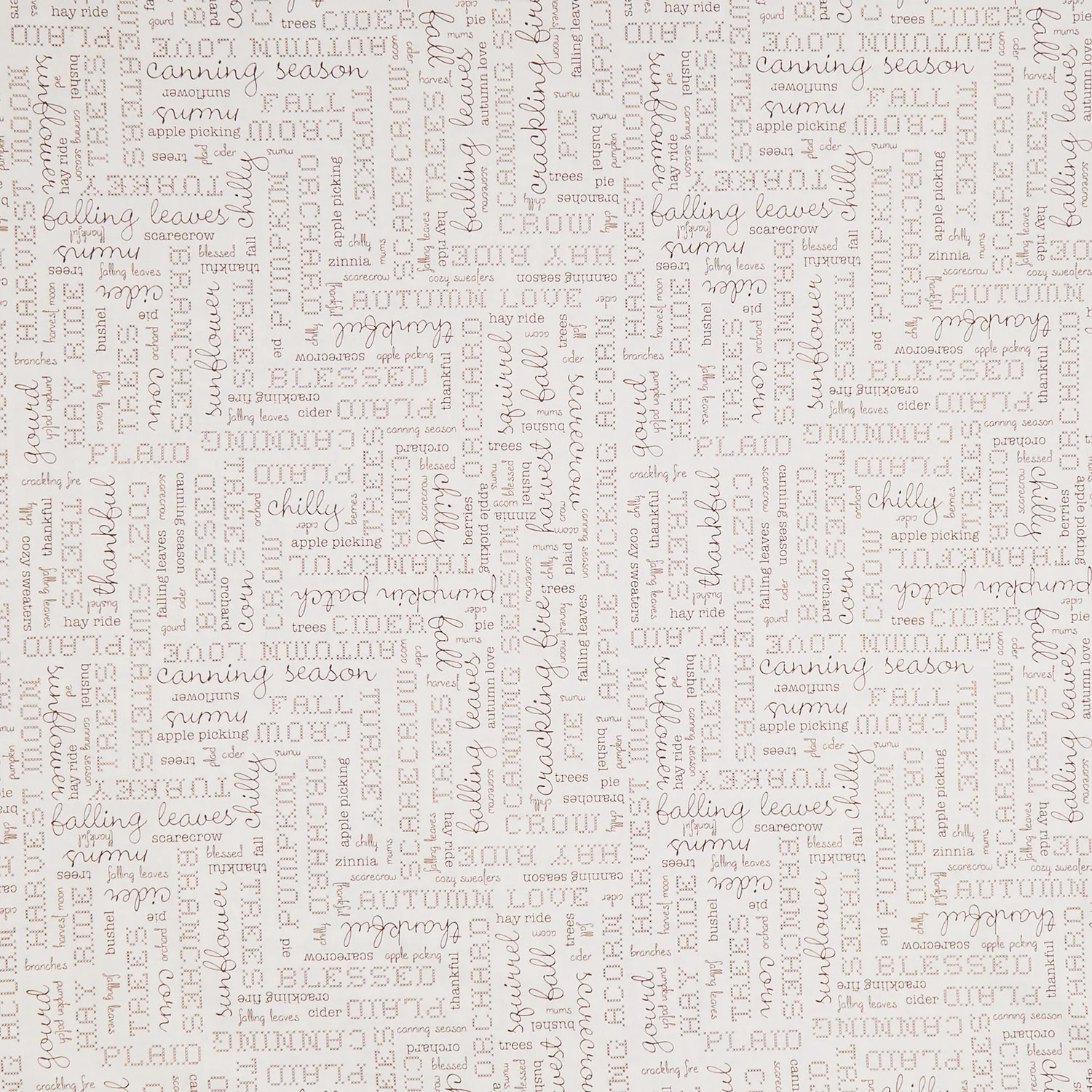 Designer Wideback - Autumn Words Latte 108" Wide Backing
