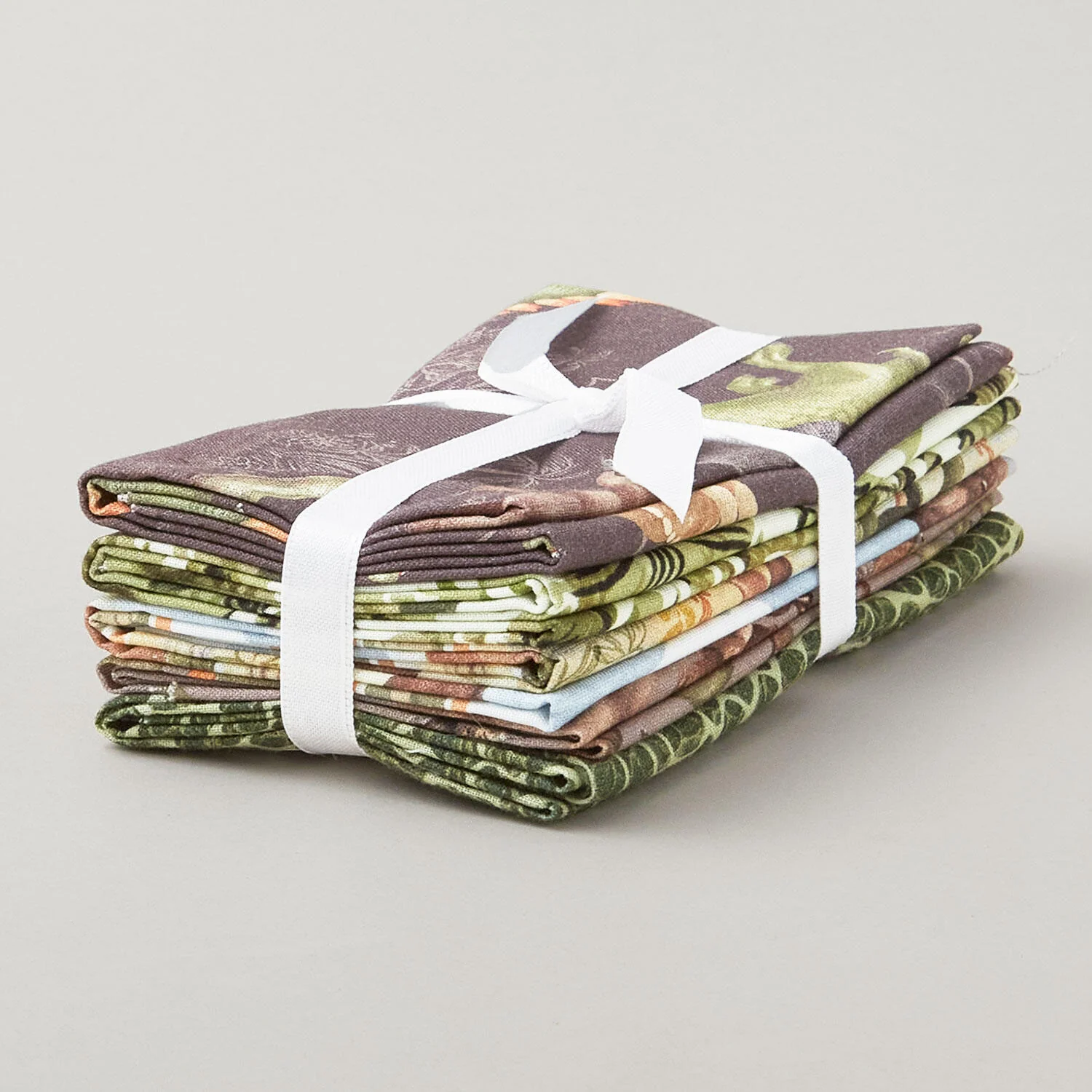 Dinosaur Trails Favorites Fat Quarter Bundle - 5 pcs. - Image 2