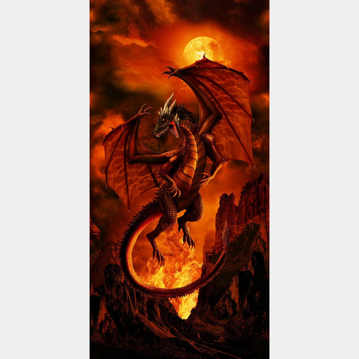 Dragon Fire - Dragon Fire Panel