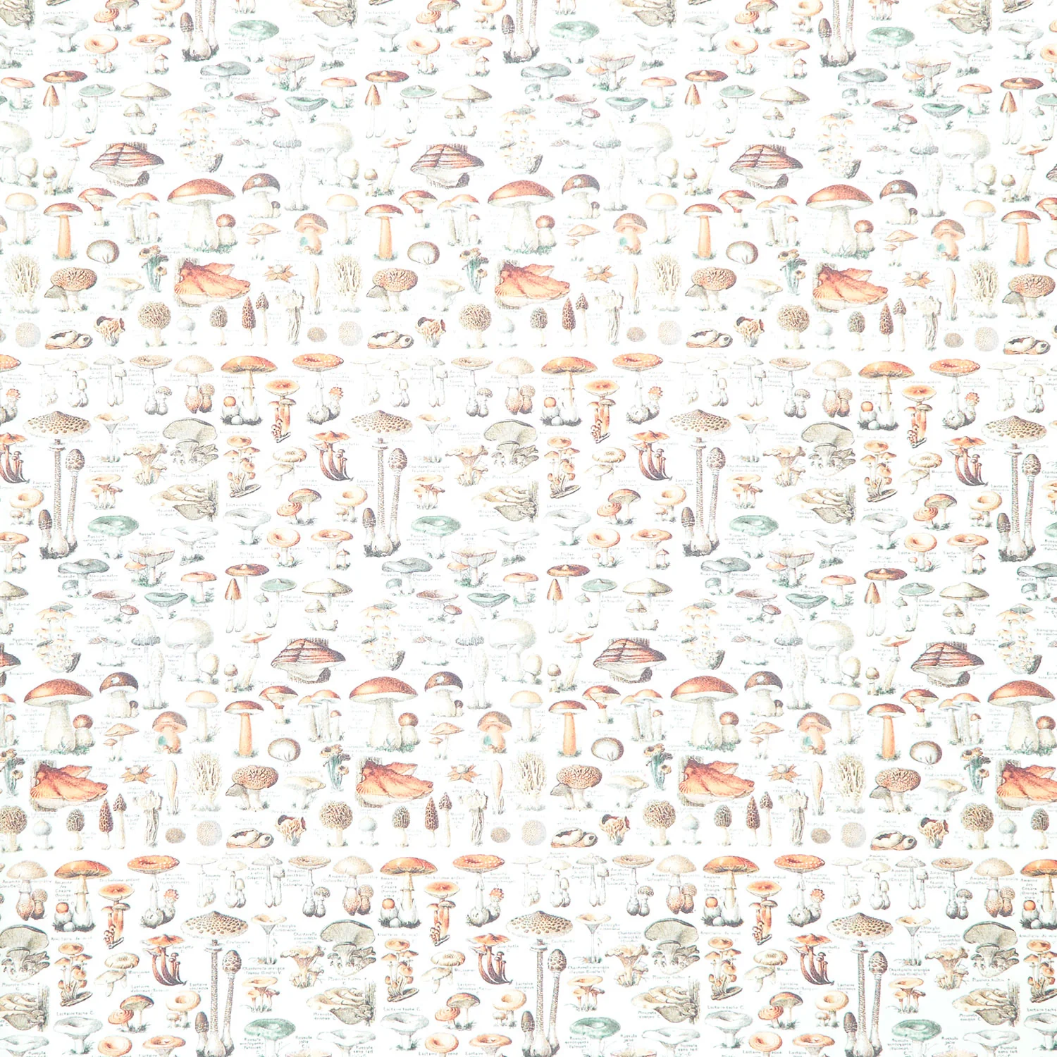 Eclectic Elements - Palette Orange Toadstools Orange Yardage