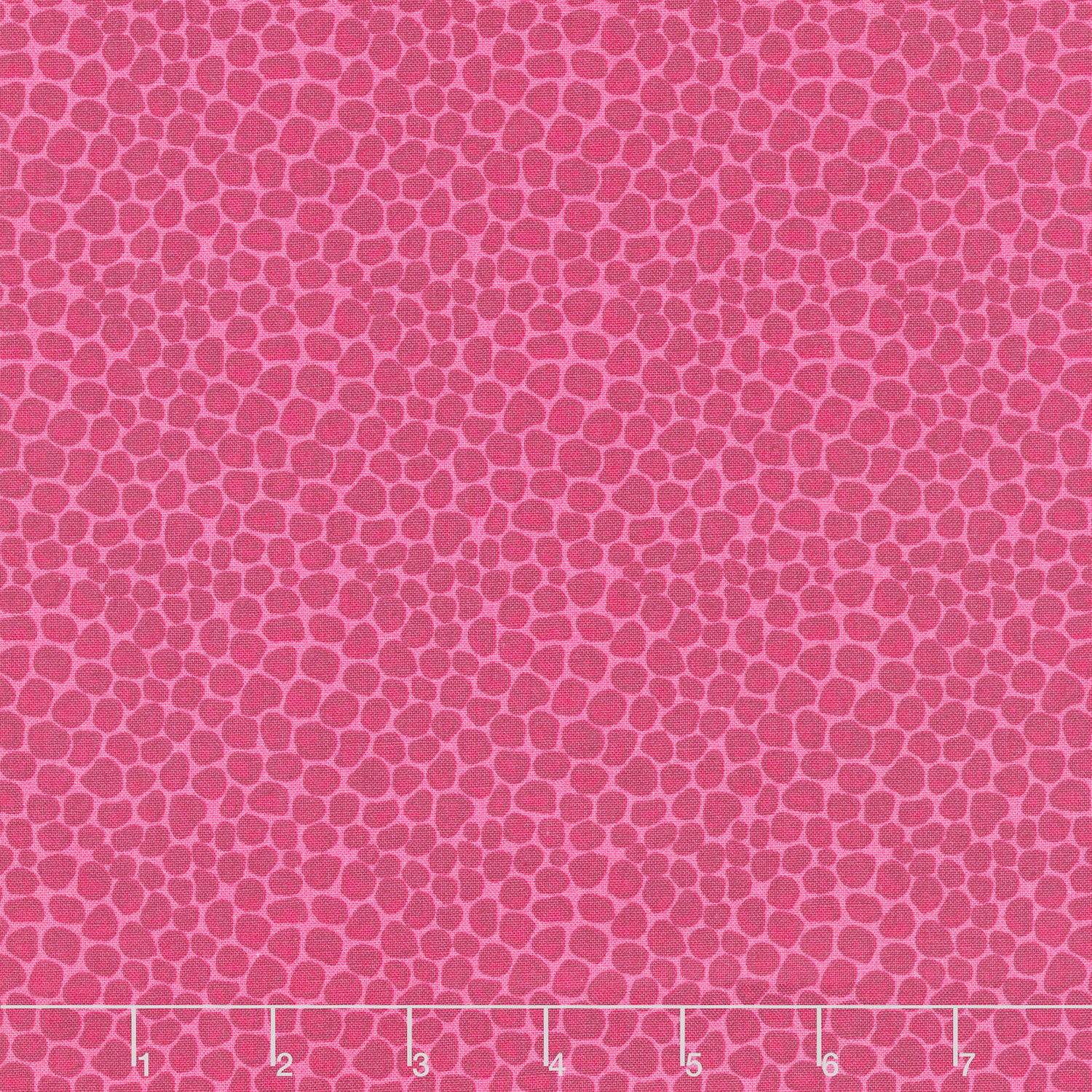 Fragrant Fields - Stony Path Hot Pink Yardage