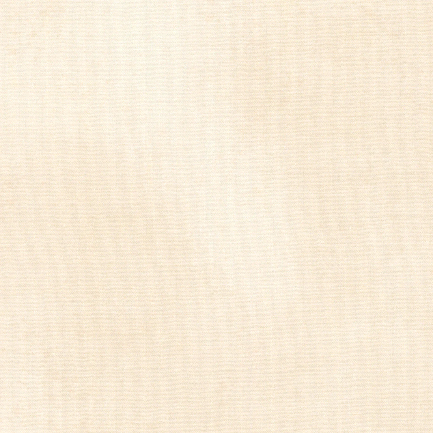 Fundamentals - Gesso Canvas Yardage