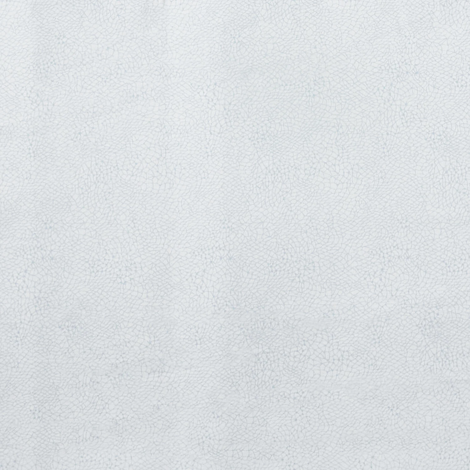 Gratitude and Grace - Sunshine Grey 2 Yard Cut - Image 2