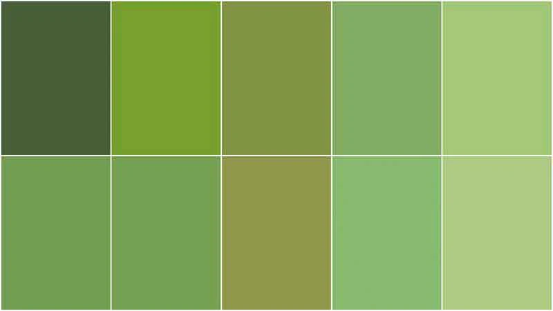 Handpicked Produce - Sweet Solids Green Salad 5" Stackers 20 pcs. - Image 3