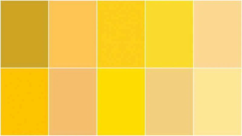 Handpicked Produce - Sweet Solids Mellow Yellow 5" Stackers 20 pcs. - Image 3