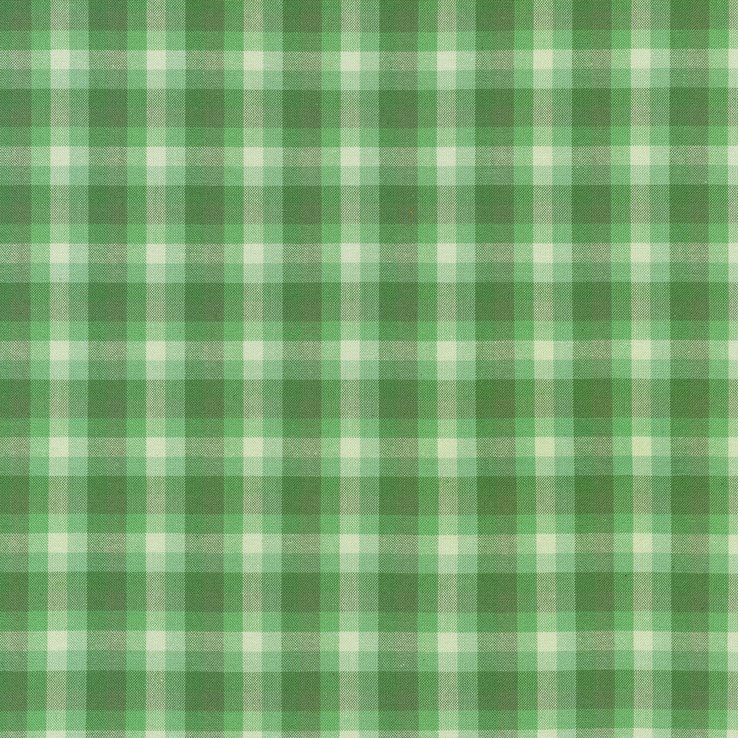 Kitchen Window Wovens - Palm Yardage