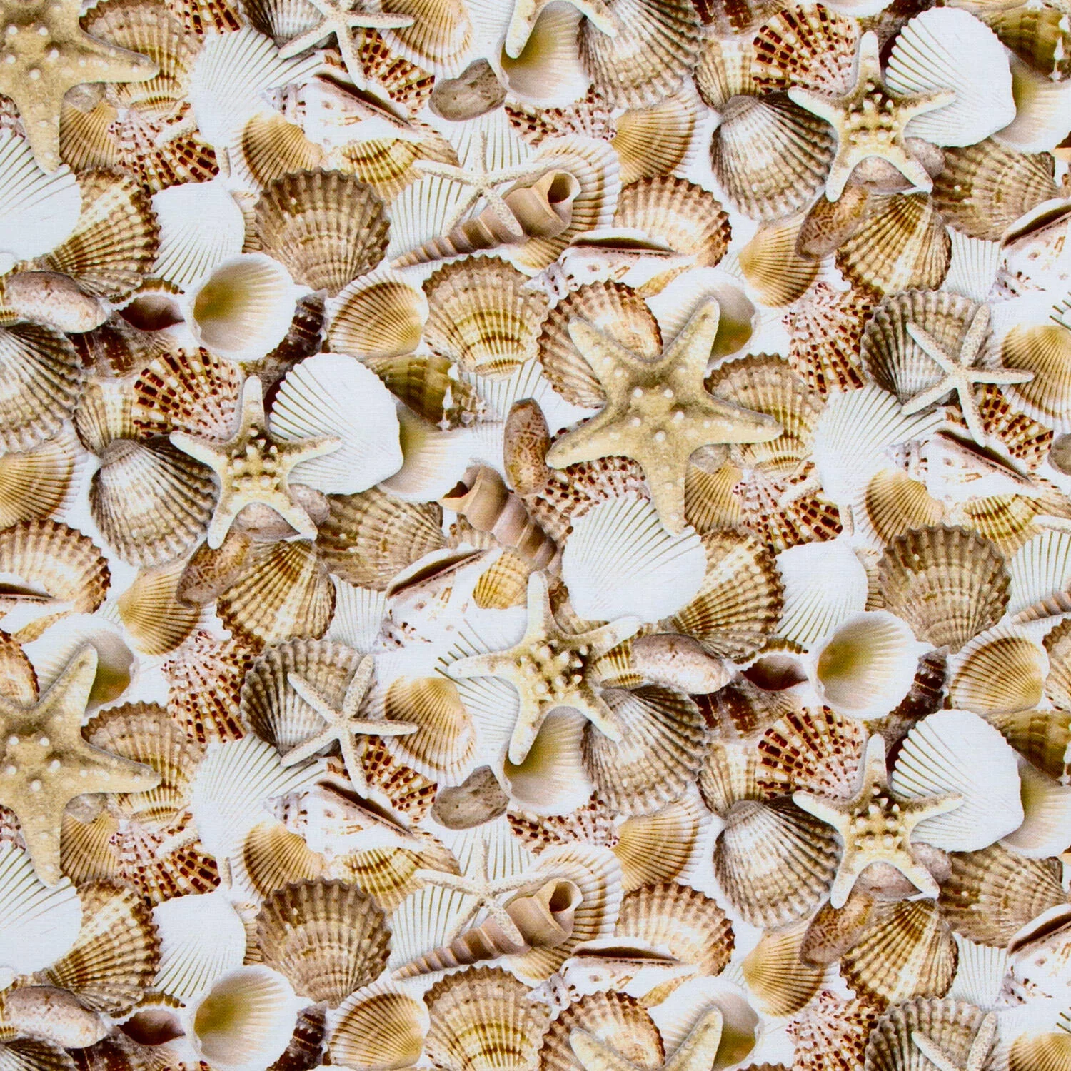 Let Your Light Shine - Packed Shells Shell Yardage