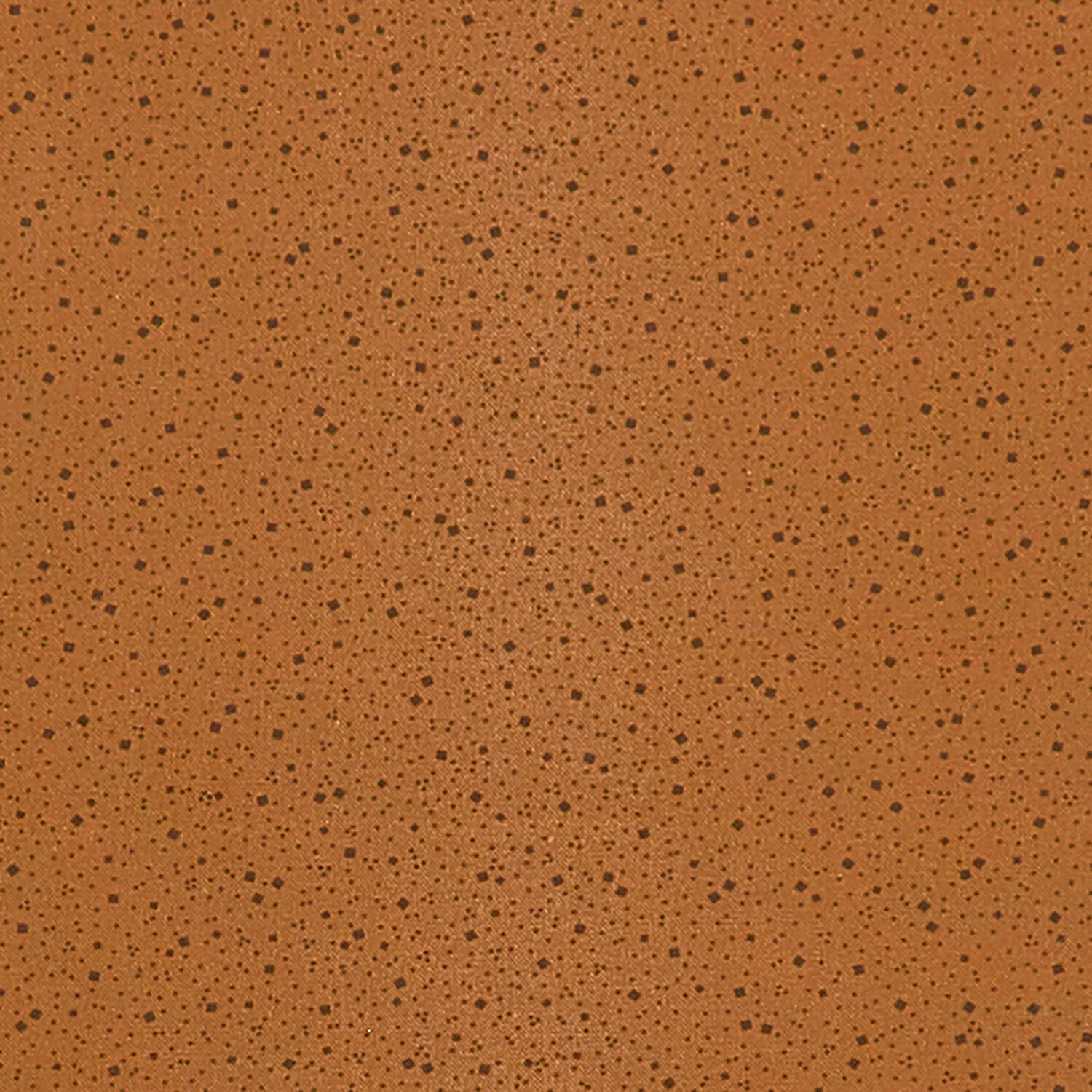 Meyer House Favorites - Brown Tossed Square 2 Yard Cut - Image 2