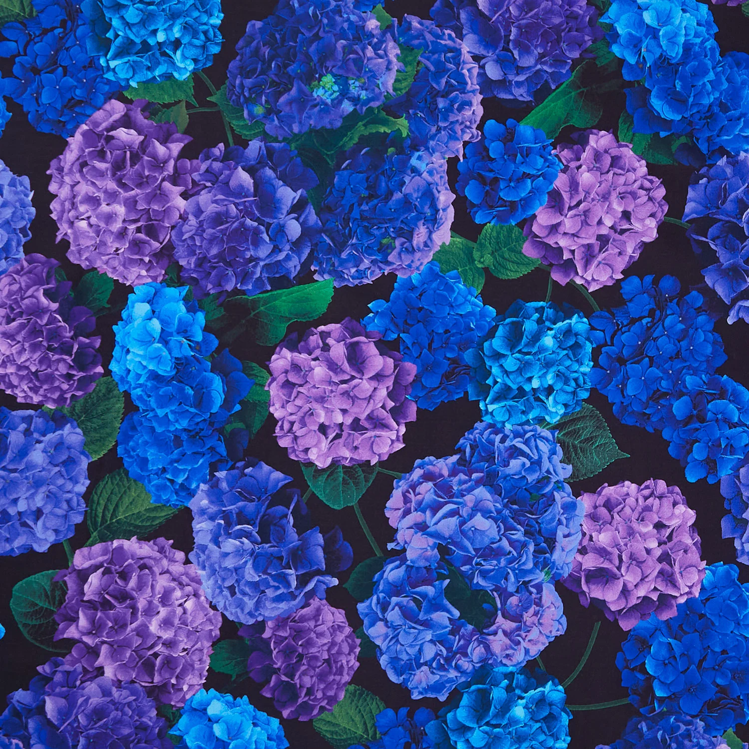 Midnight Bloom - Hydrangea Large Florals Hydrangea Yardage