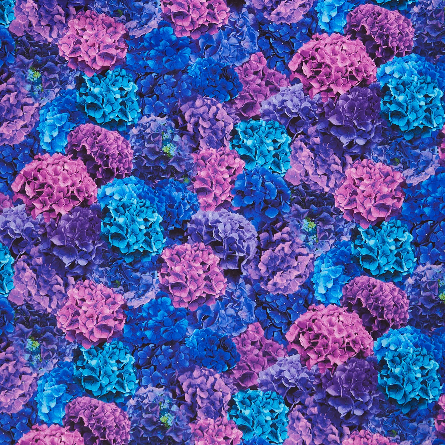 Midnight Bloom - Packed Hydrangea Floral Multi Yardage