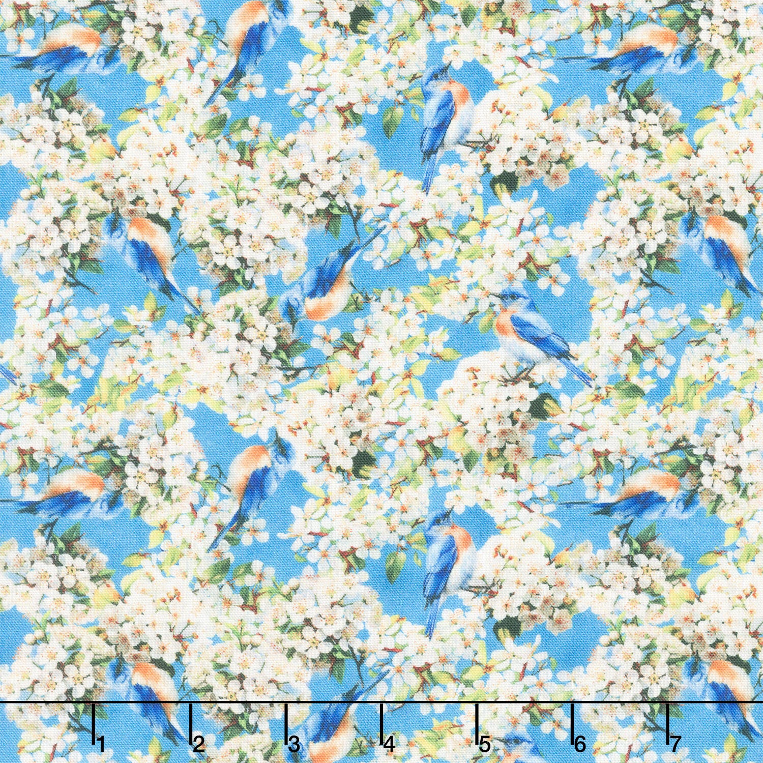 Missouri Shop Hop 2025 - Aerial Explorers Sky Yardage