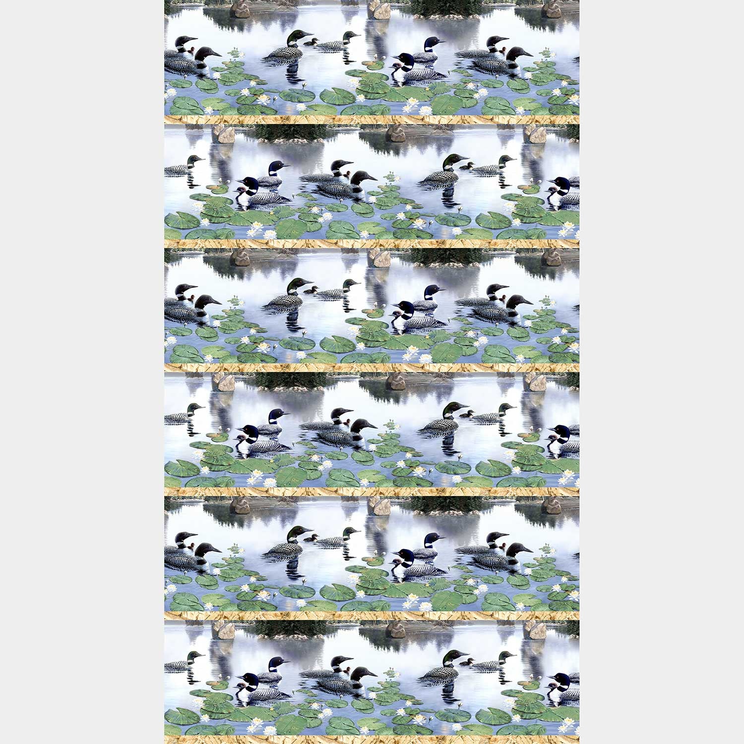 Naturescapes - Still Waters Loon Border Stripe Multi Yardage - Image 2