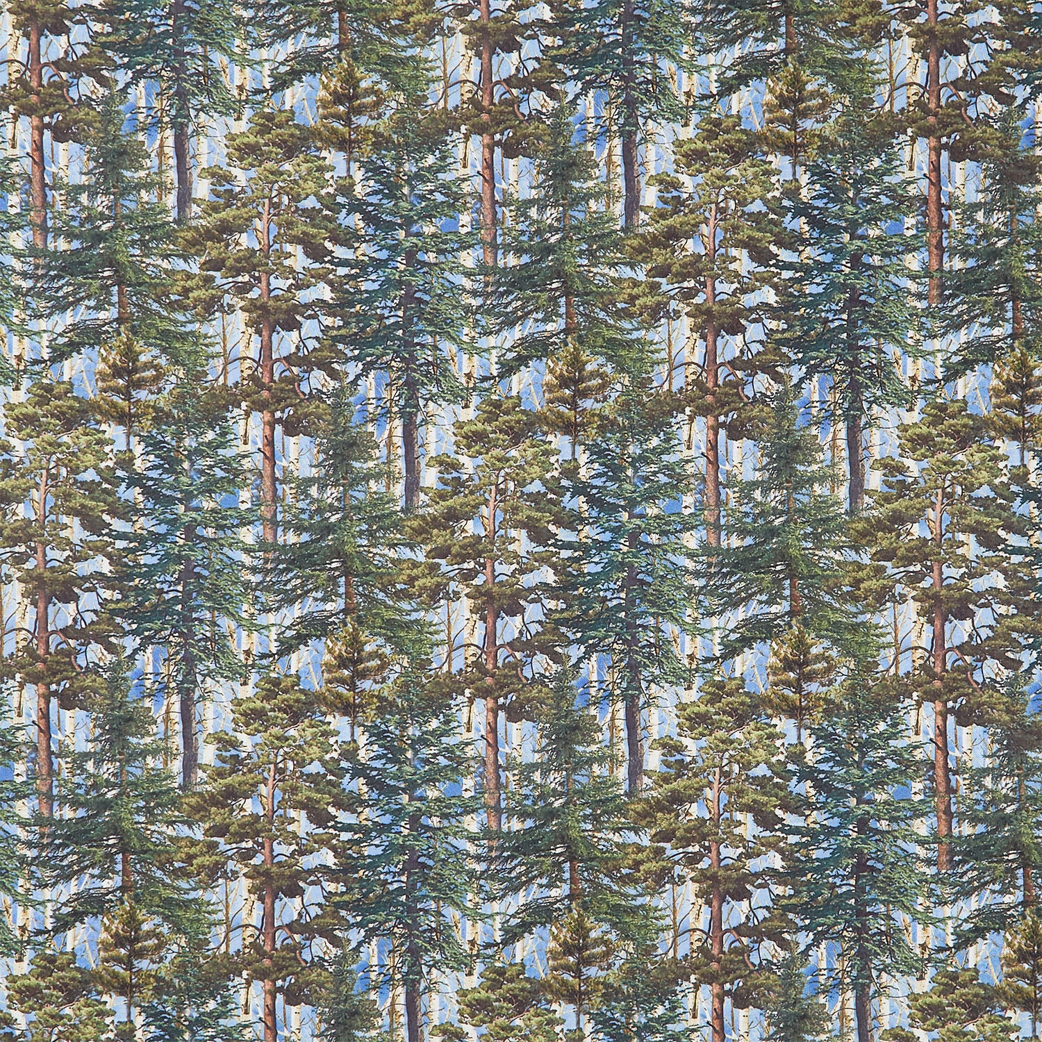 Naturescapes: Timber Trail - Evergreen Trees Blue Multi Yardage