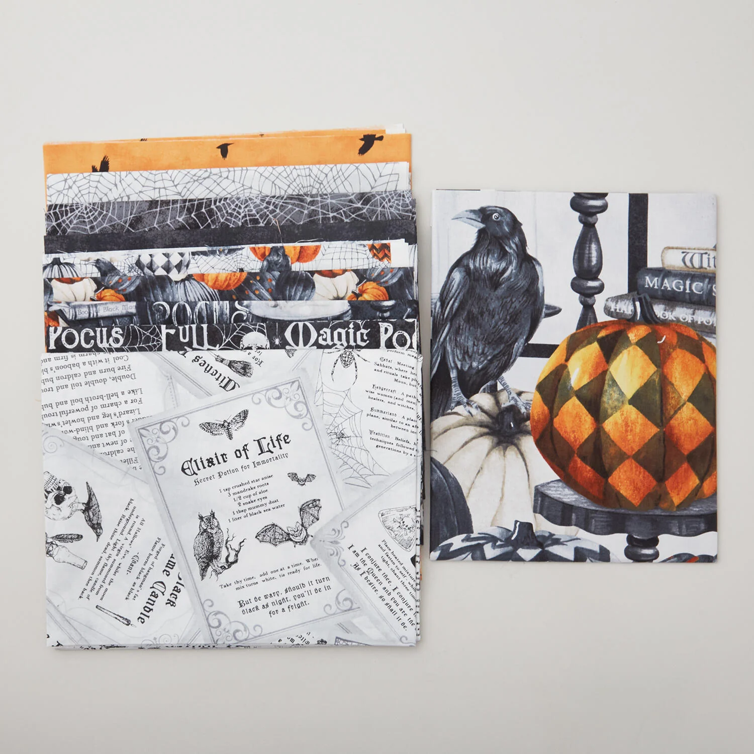 Pages Upon Pages Quilt Kit - Image 2