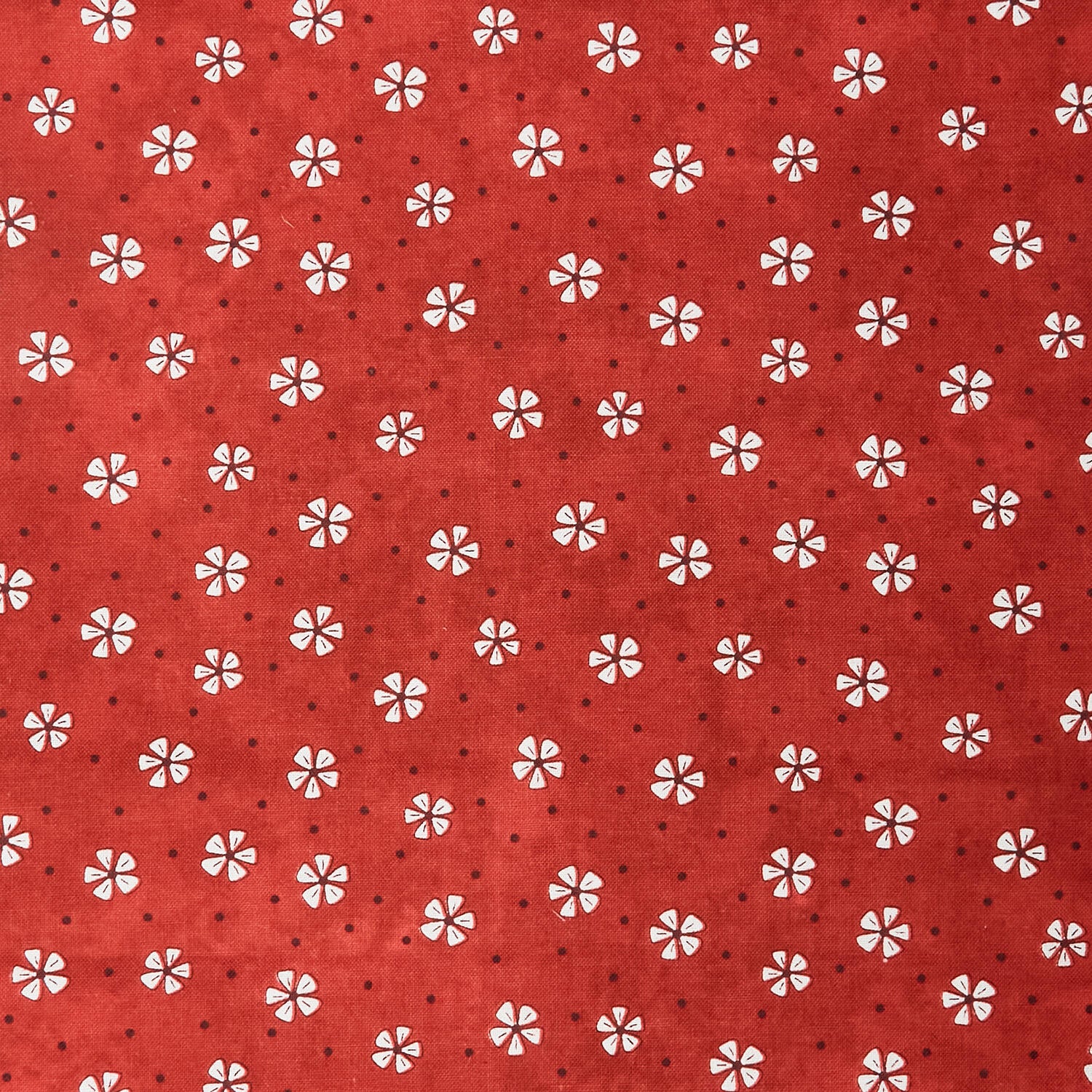 Pocket Full Of Posies - Posies Tossed Red 2 Yard Cut - Image 2