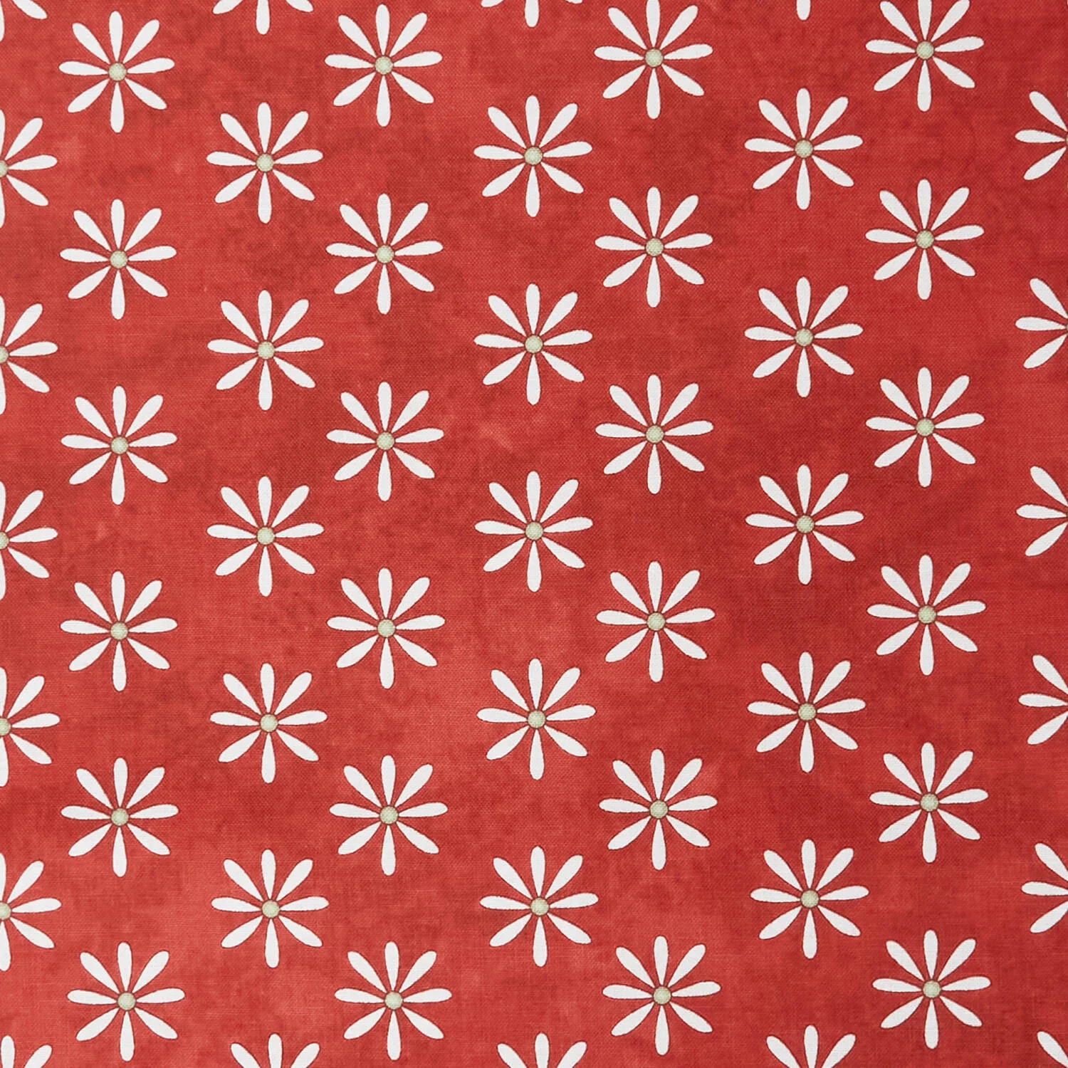 Pocket Full Of Posies - Set Daisies Red 2 Yard Cut - Image 2