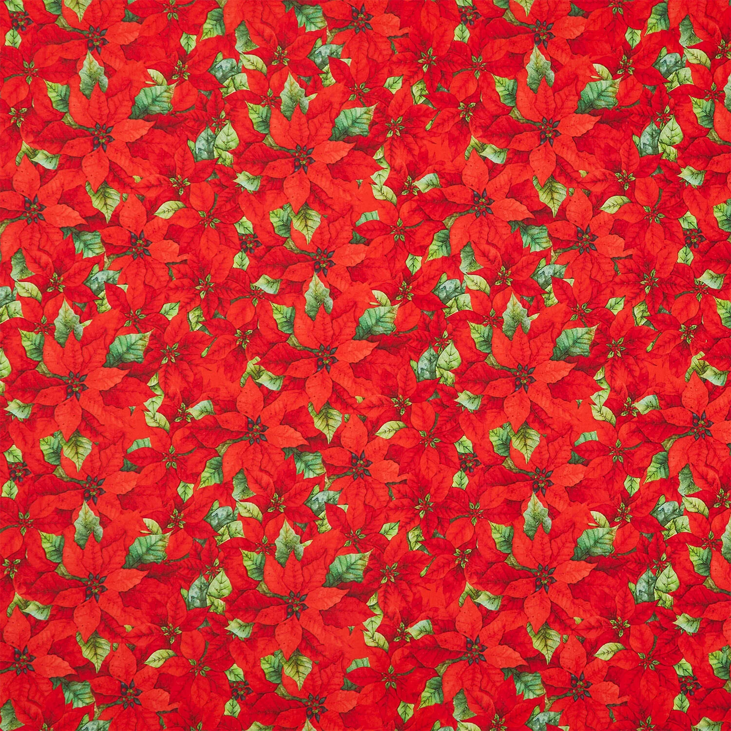 Poinsettia Radiance - Packed Poinsettia Red Yardage
