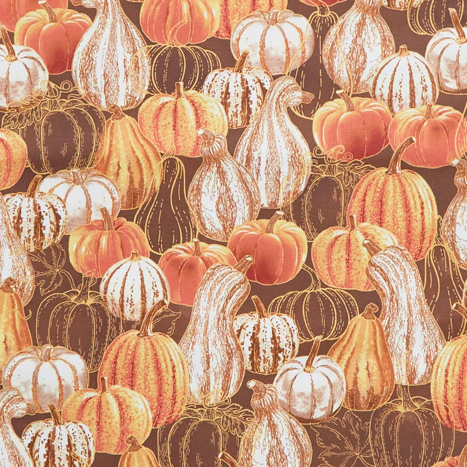 September Fields Favorites - Spice Gourds 2 Yard Cut - Image 2