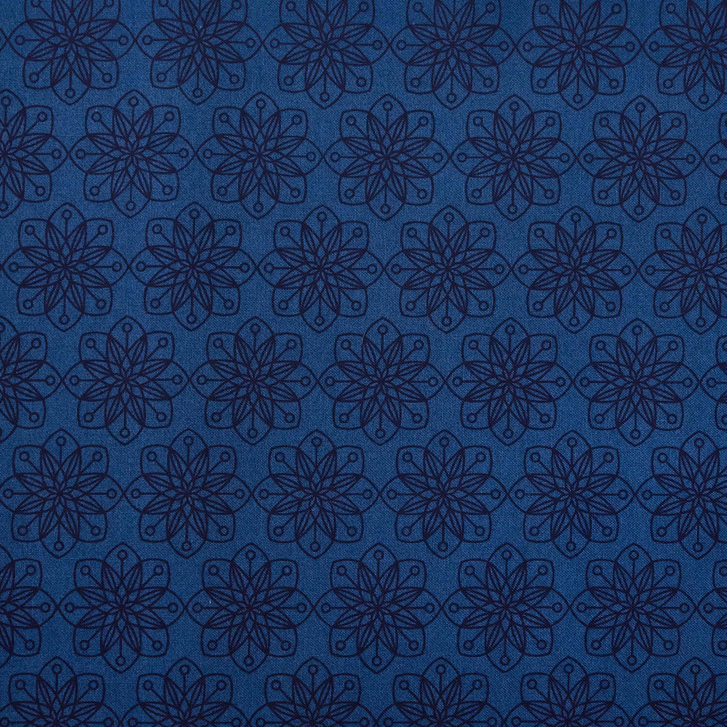 Snow Fall - Amaryllis Midnight 2 Yard Cut - Image 2