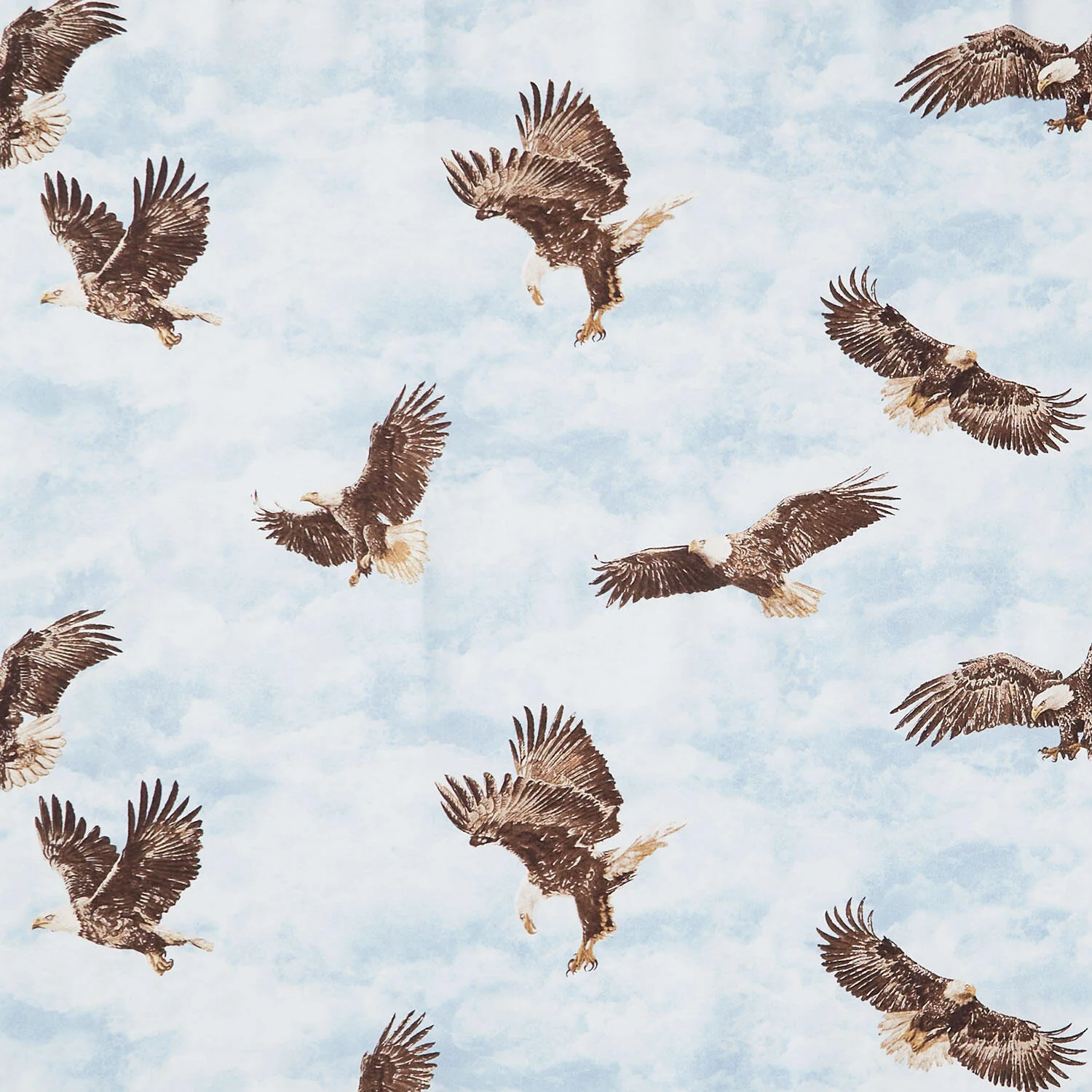 Stonehenge - Eagle Pass Eagles Light Blue Multi Yardage