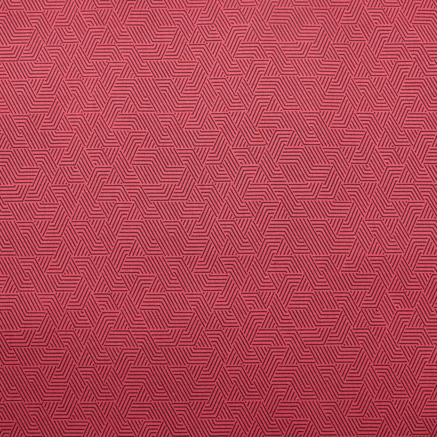 Transparency - Linework Berry 2 Yard Cut - Image 2