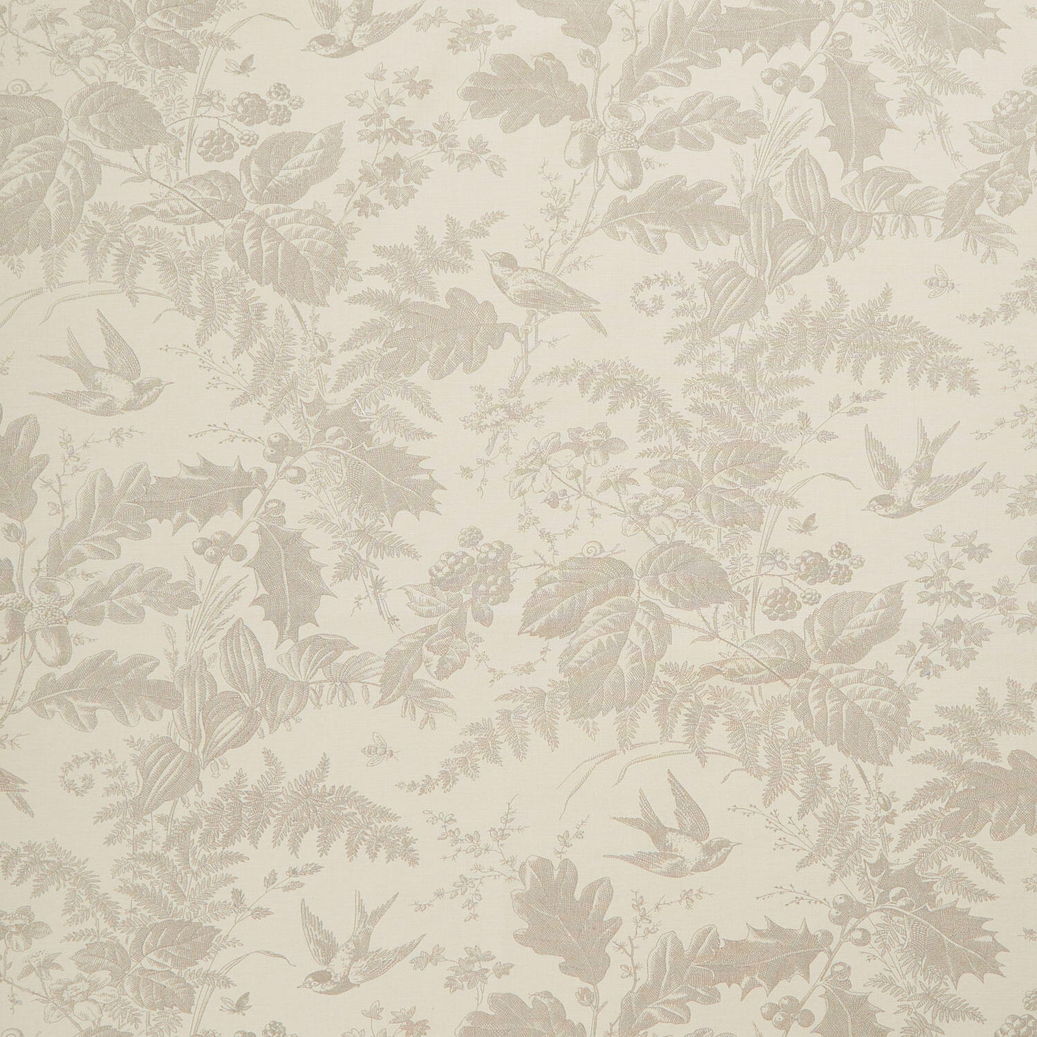 Vermont - Daisy Limestone 108" Wide Backing Yardage