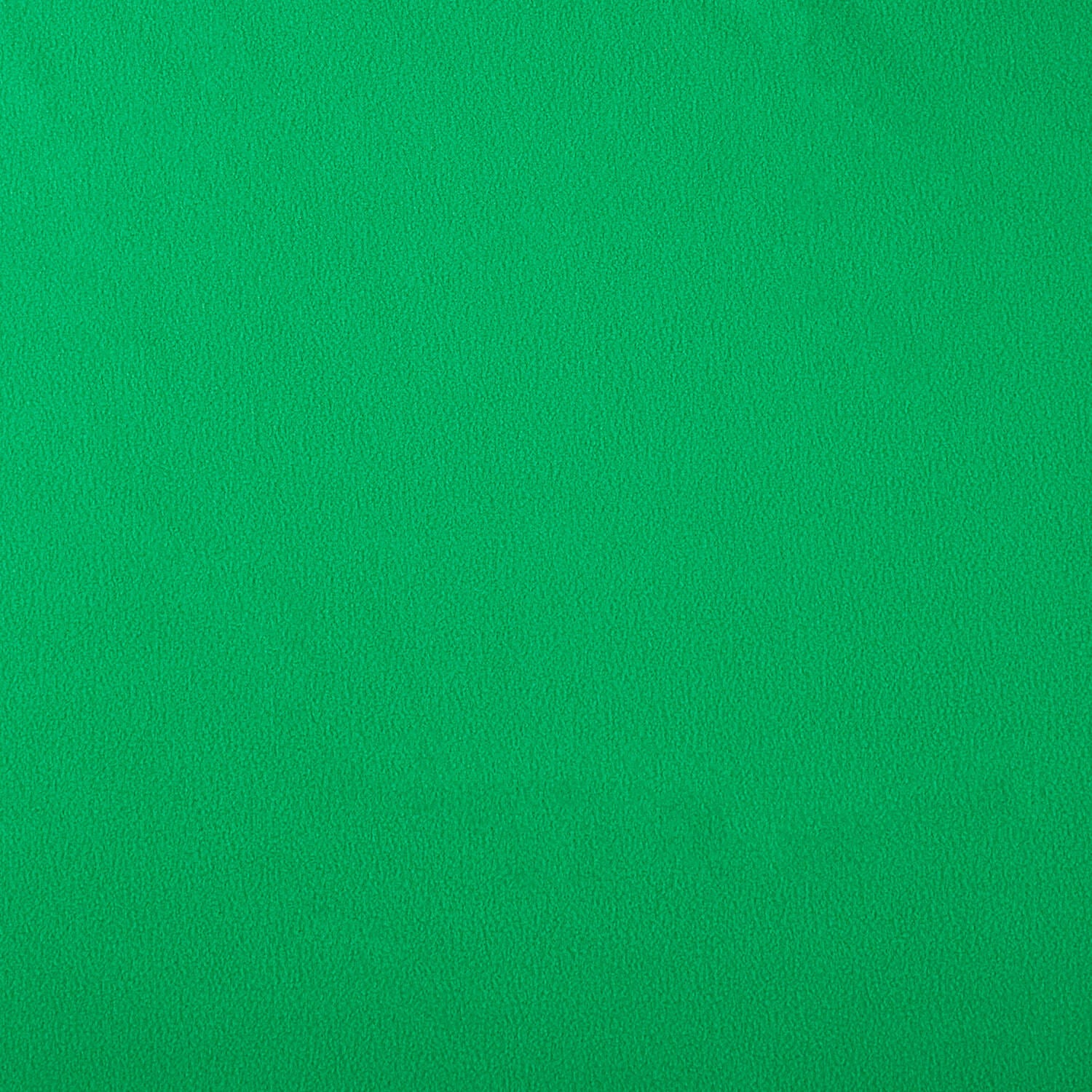 Winterfleece - Solids Jolly Green Yardage